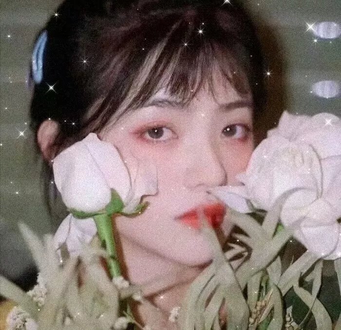特别的一天 封面