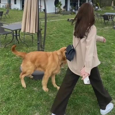 妖媚女姬 焦点图