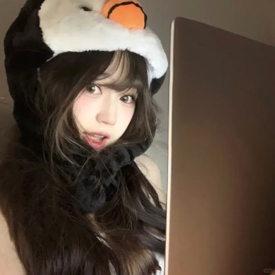 费里布朗 封面